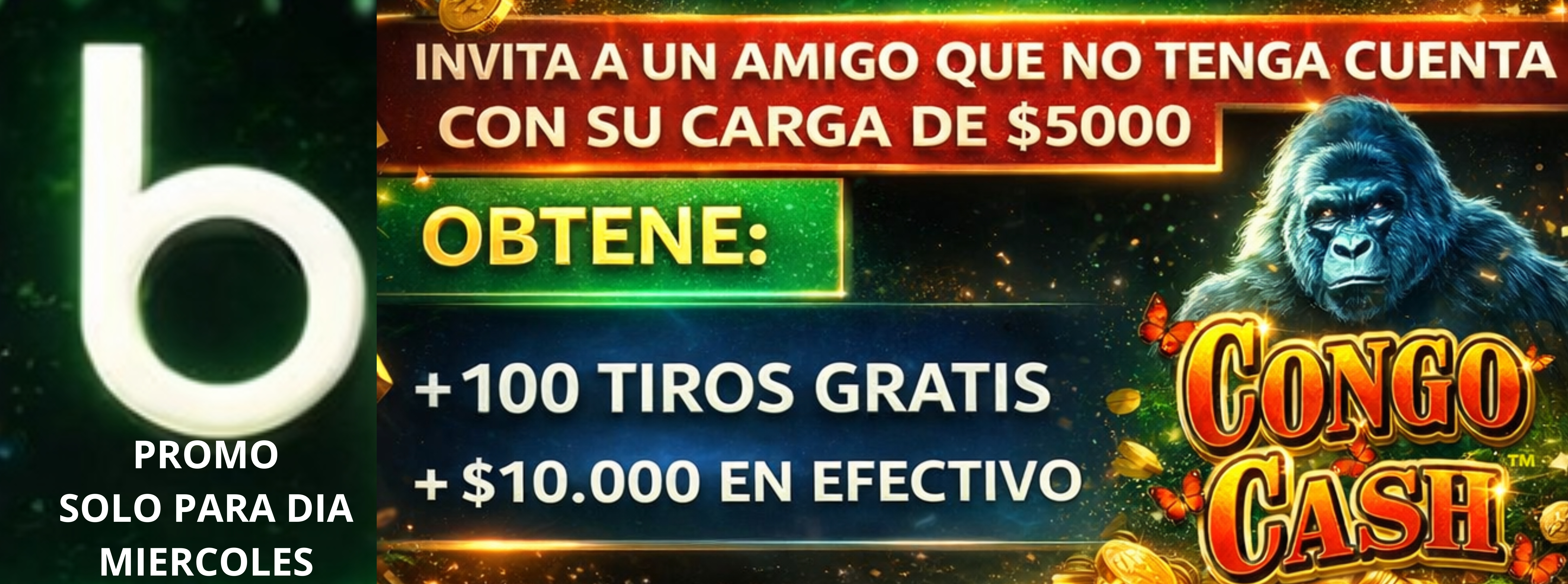 Promo Referidos